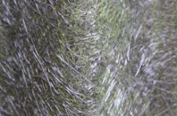 Chapeltown fibreglass roof work